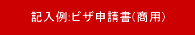 記入例:ビザ申請書(観光)