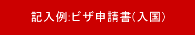 記入例:ビザ申請書(入国)