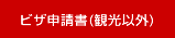 ビザ申請書(観光)