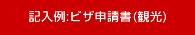 記入例:ビザ申請書(観光)